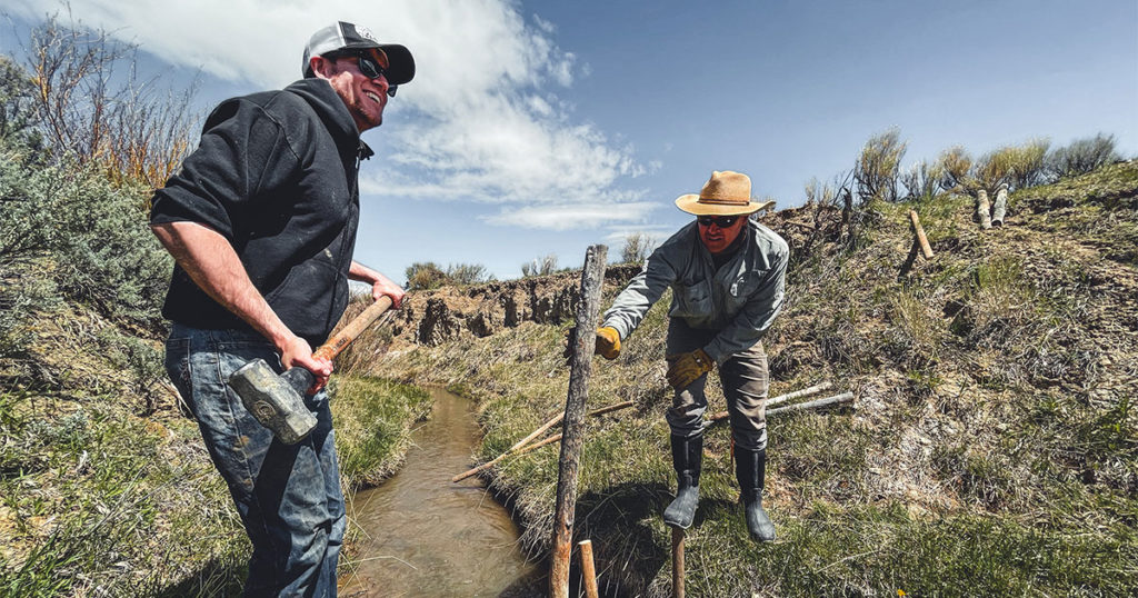 Beaver Dam Project Completed near Little Mountain