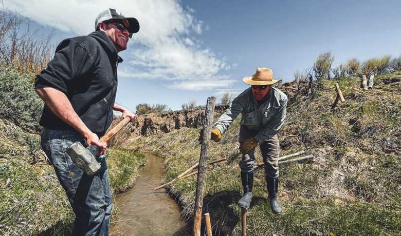 Beaver Dam Project Completed near Little Mountain
