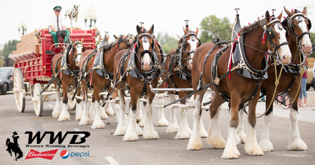 Wyoming’s Big Show to Feature World-Famous Budweiser Clydesdales