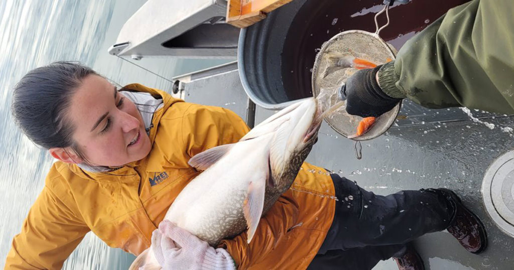 Biologists Complete Spring Netting on Flaming Gorge Reservoir