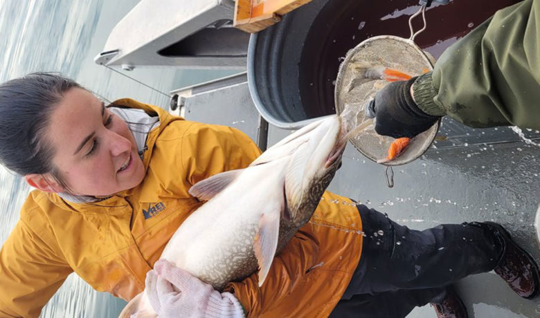 Biologists Complete Spring Netting on Flaming Gorge Reservoir