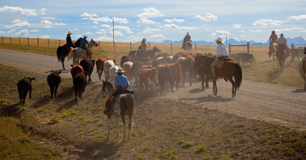 Sublette County Prepares for Cattle Drive Traffic Impacts on Highway 191/189