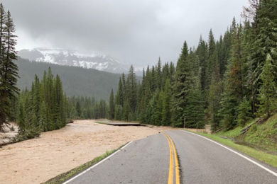 Yellowstone National Park May Start Limited Reopening Next Week on South Loop