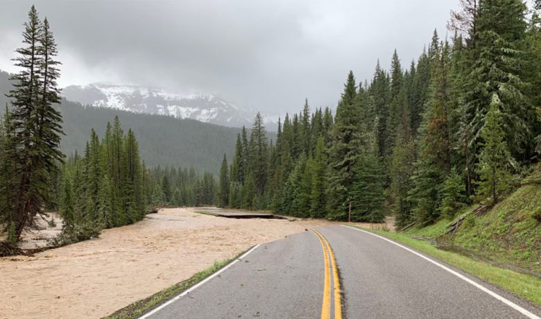 Yellowstone National Park May Start Limited Reopening Next Week on South Loop