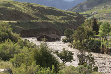 [PHOTOS] Yellowstone National Park to Remain Closed for Now
