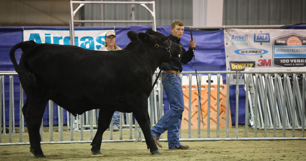 4-H and FFA Participants Are Ready to Show Their Animals, Projects at Wyoming’s Big Show