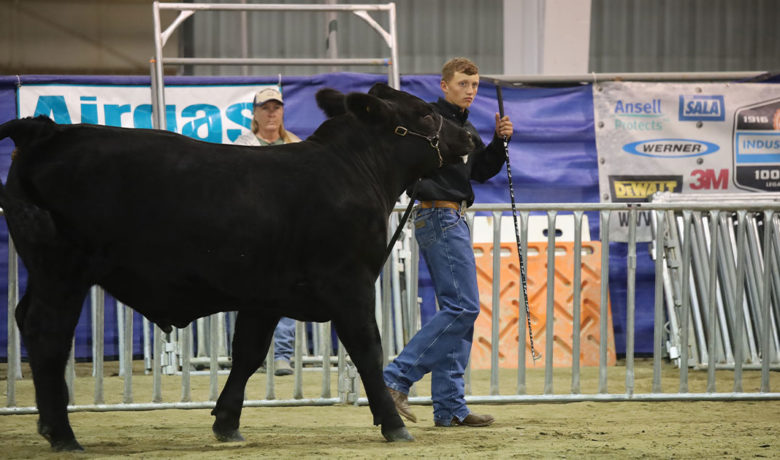4-H and FFA Participants Are Ready to Show Their Animals, Projects at Wyoming’s Big Show