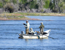 Beaver Dams and Root Wads: How Trout Unlimited’s Work Helps Sweetwater County 