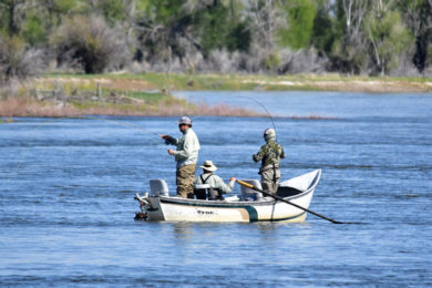 Beaver Dams and Root Wads: How Trout Unlimited’s Work Helps Sweetwater County 
