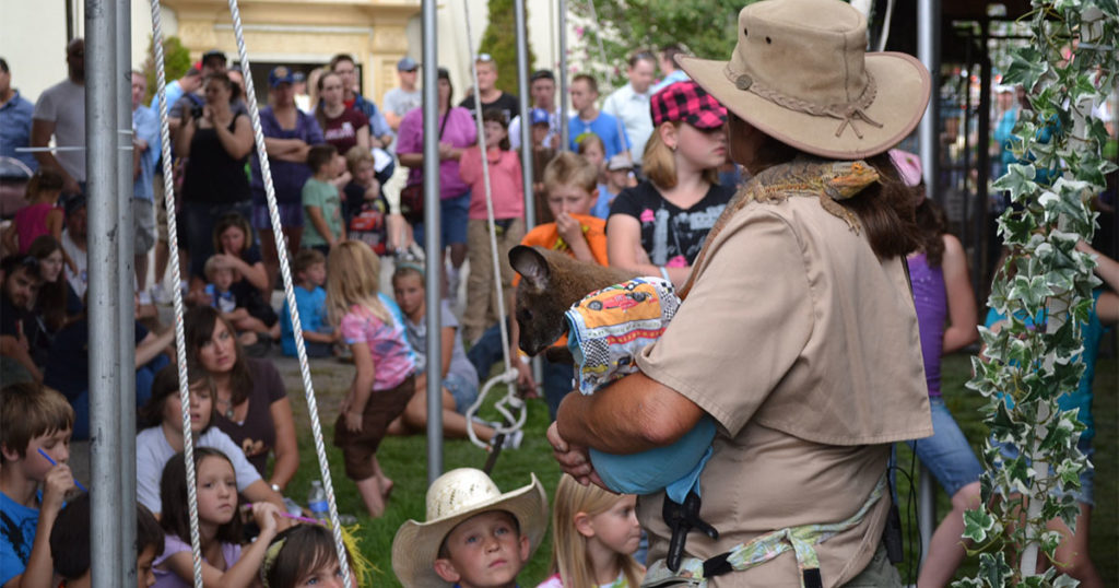 Aussie Kingdom Takes the Stage at Wyoming’s Big Show