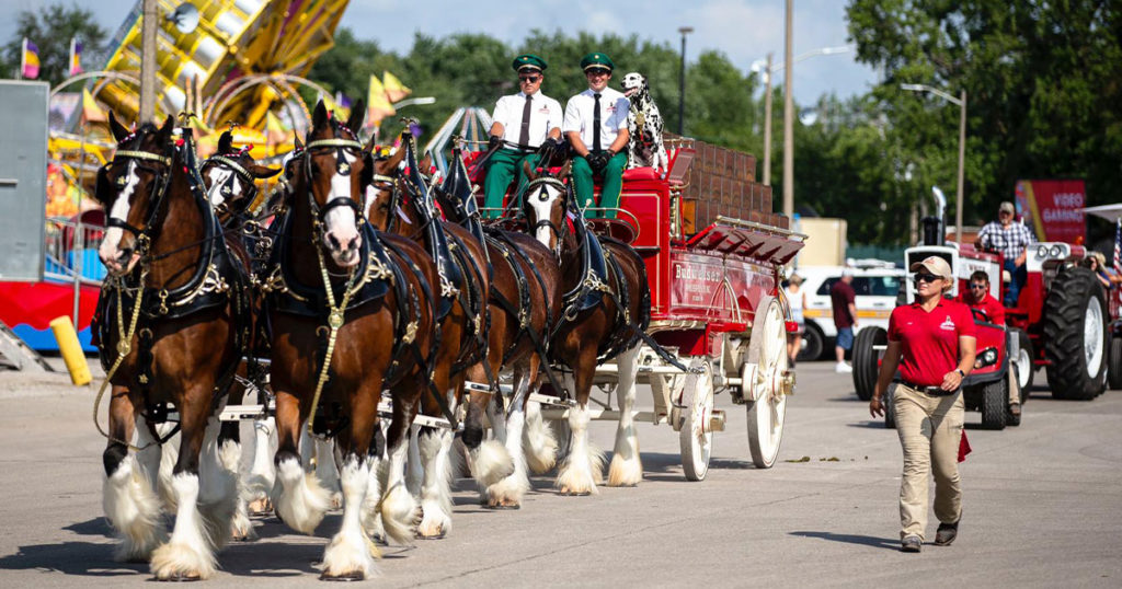 Wyoming’s Big Show to Feature World-Famous Budweiser Clydesdales