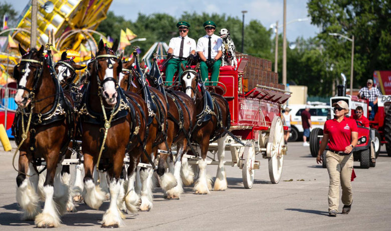 Wyoming’s Big Show to Feature World-Famous Budweiser Clydesdales