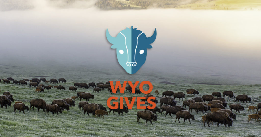 Support Wyoming Non-Profits on WyoGives Day!