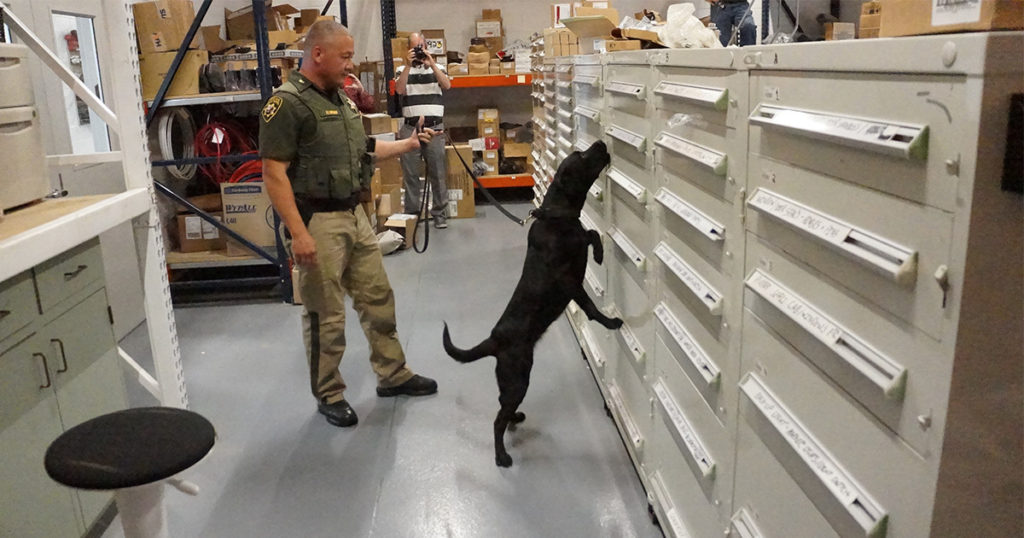 K-9 Trained to Detect Fentanyl