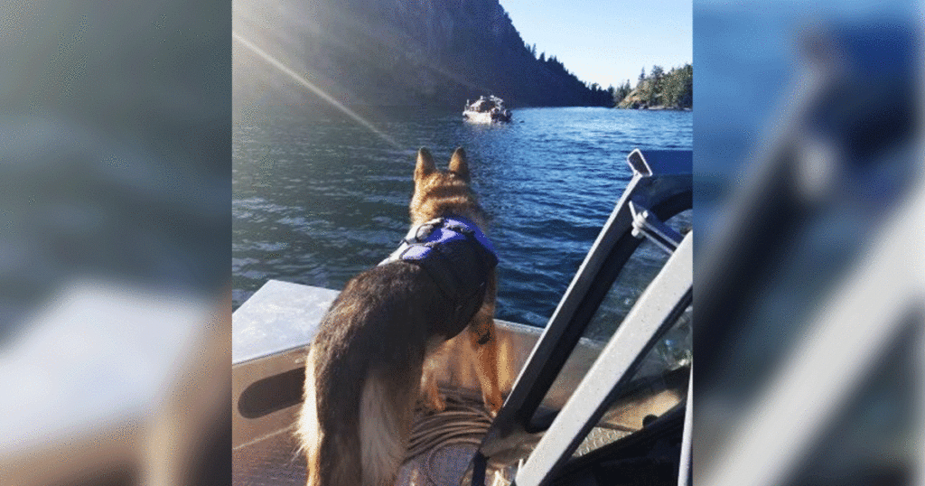 Still No Trace of Missing Pinedale Man on Sixth Day of Search