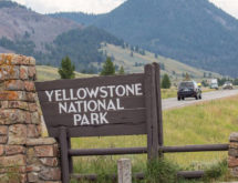 Body Recovered in Yellowstone Lake