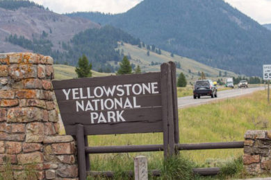 Michigan Man Sustains Thermal Burns in Yellowstone, Faces Criminal Charges