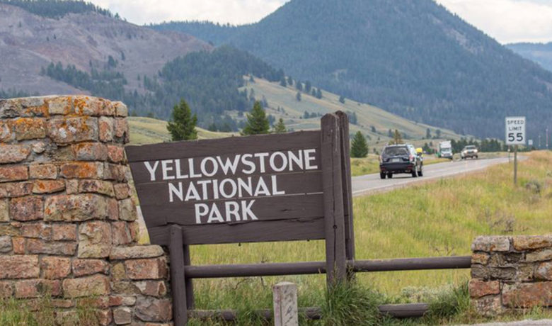4,800 Gallons of Fuel Spilled in Tanker Truck Rollover at Yellowstone National Park