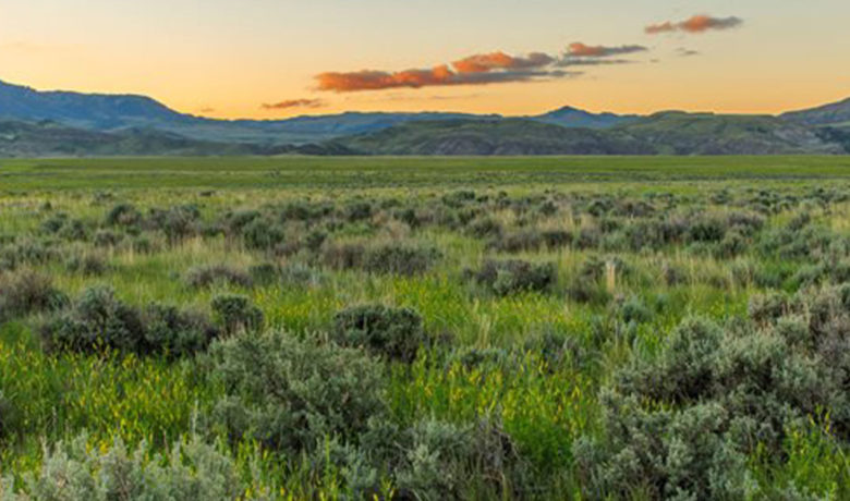 Fires Prohibited on Fremont County Game and Fish Commission-Owned Lands
