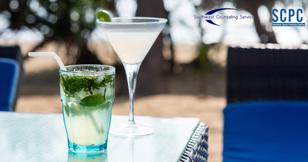 What is a Standard Drink?