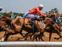 Rain, Mud and Racehorses: A Utah Senator’s Weekend at the Races