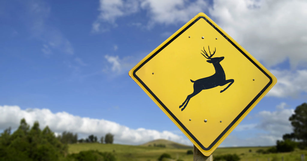 Kemmerer Wildlife Crossing Project to Receive $500,000