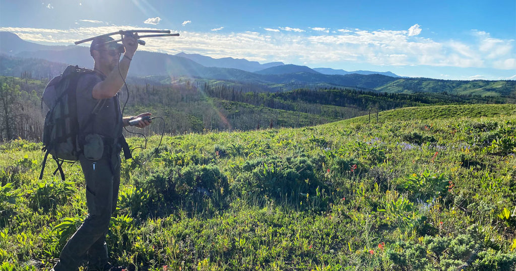Film Shows Struggles of Collared Mule Deer