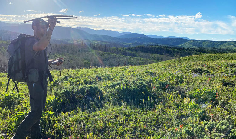 Film Shows Struggles of Collared Mule Deer