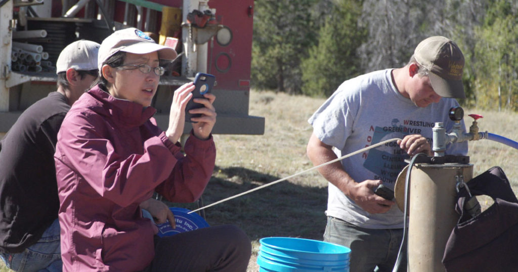 UW Professor Receives $1M Grant to Study How Forests Recover Naturally