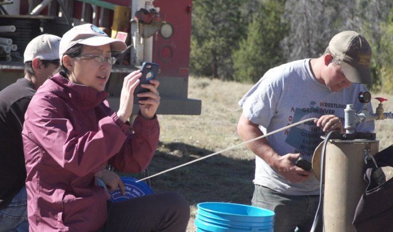 UW Professor Receives $1M Grant to Study How Forests Recover Naturally