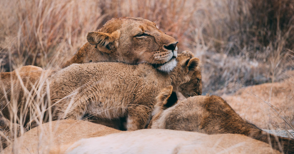 South Africa and Sweetwater County: Two Different Places With Many Similarities