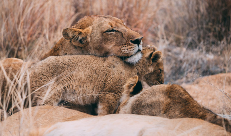 South Africa and Sweetwater County: Two Different Places With Many Similarities