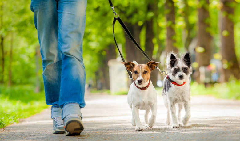 GR Leash Law Amendments Fail on Second Reading