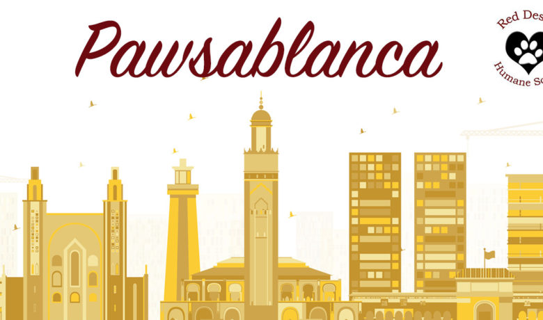 You’re Invited to the Red Desert Humane Society’s ‘Pawsablanca’ Fur Ball Event