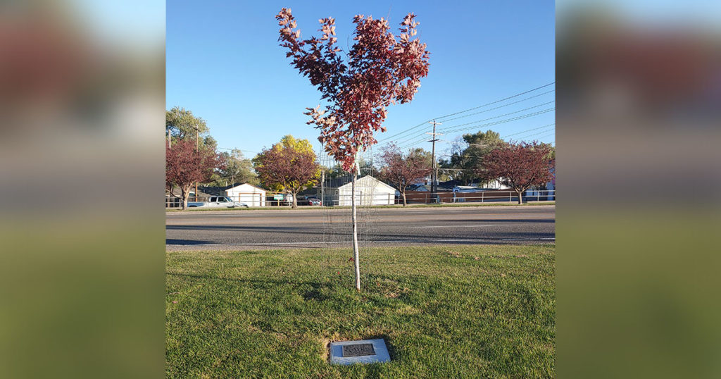 Green River Couple Honored for Pond and Garden Tour Contributions