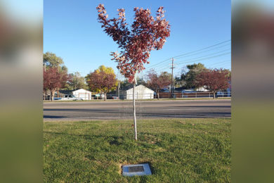 Green River Couple Honored for Pond and Garden Tour Contributions