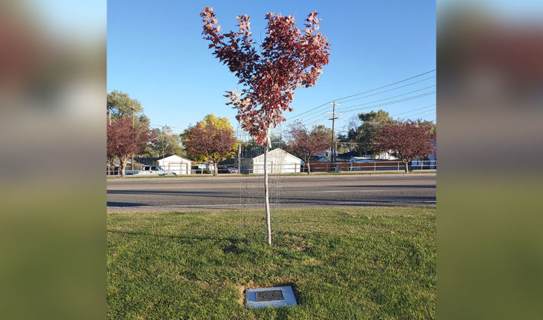 Green River Couple Honored for Pond and Garden Tour Contributions