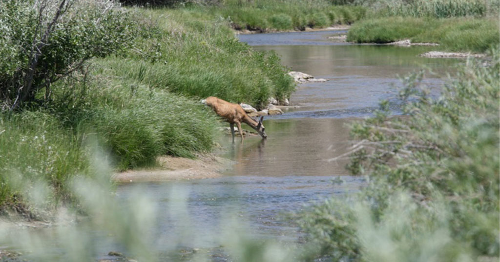 BLM Extends Withdrawal for Sweetwater River Protection
