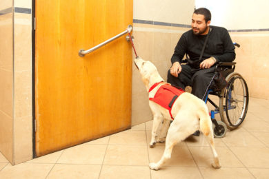 Rock Springs Council to Review Service Animal Ordinance