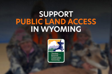 Ask Wyoming Decision-Makers to Advocate for Conservation and Access