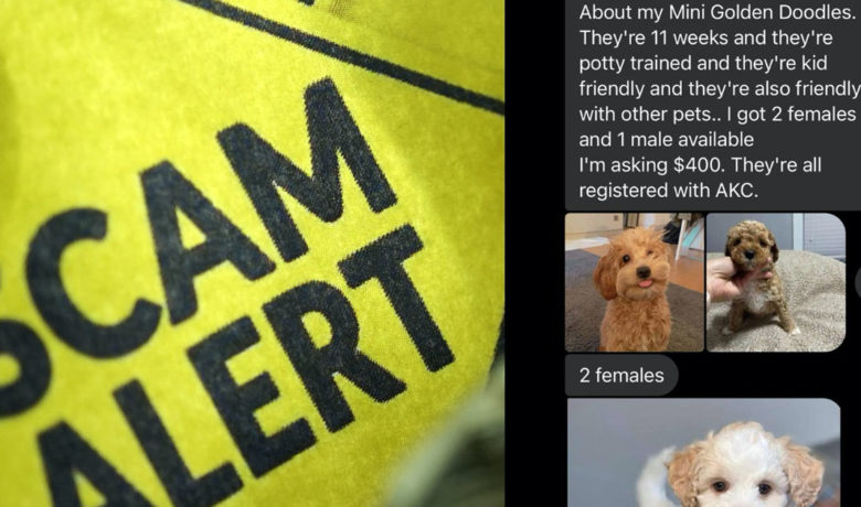 Green River Police Department Warns Community of Puppy Scam