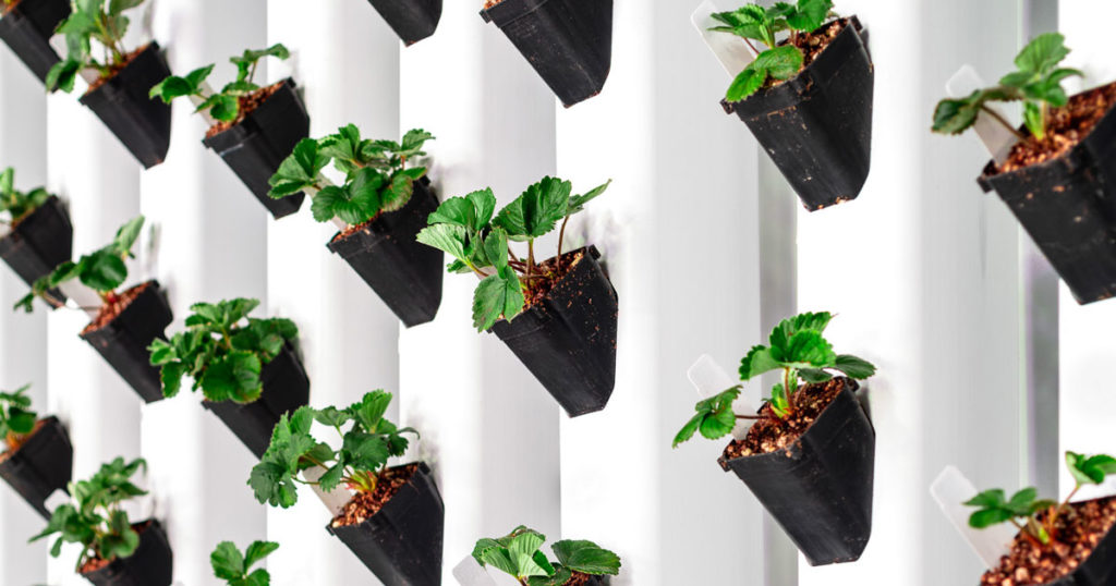 Wyoming Lands World’s Largest Vertical Farming Research Facility