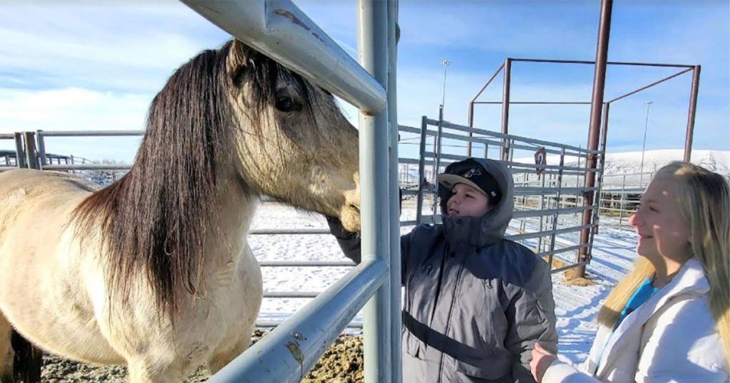 Scouts Visit BLM Wild Horse Facility