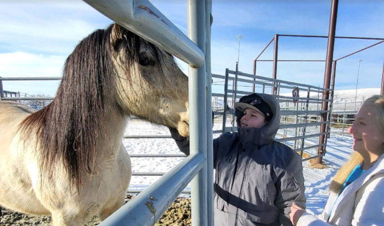 Scouts Visit BLM Wild Horse Facility