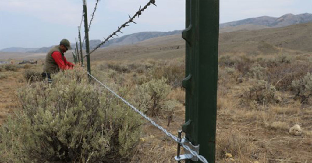 Over 500 Miles of Wildlife-Friendly Fencing Converted in Sublette County