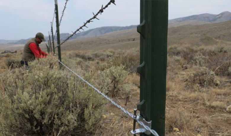Over 500 Miles of Wildlife-Friendly Fencing Converted in Sublette County