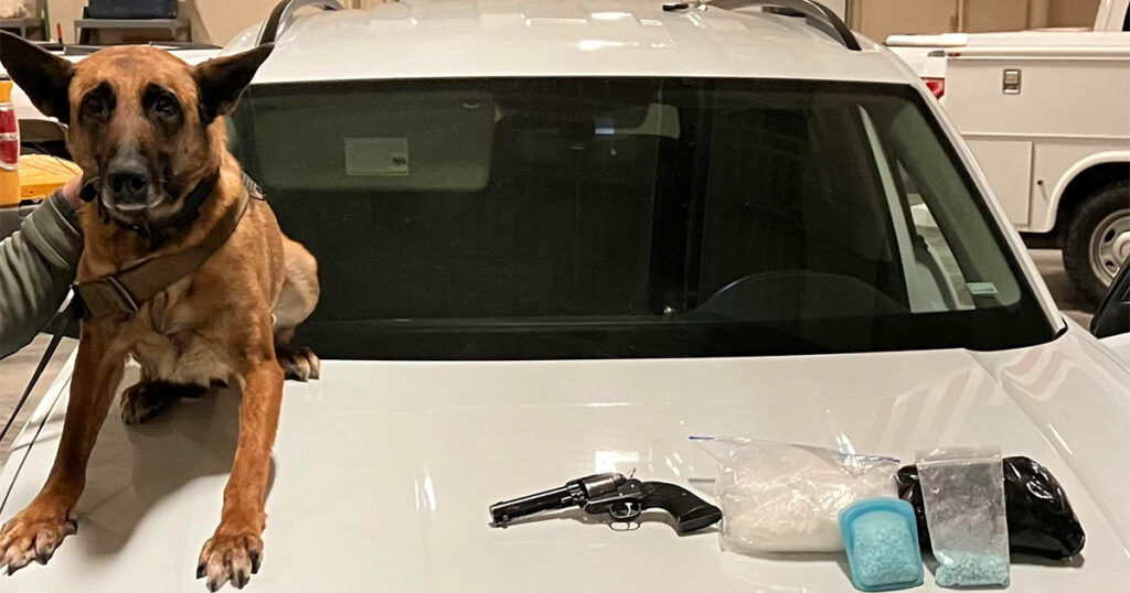 Over 1,300 Fentanyl Pills, Nearly 4 Pounds of Meth Discovered by WHP