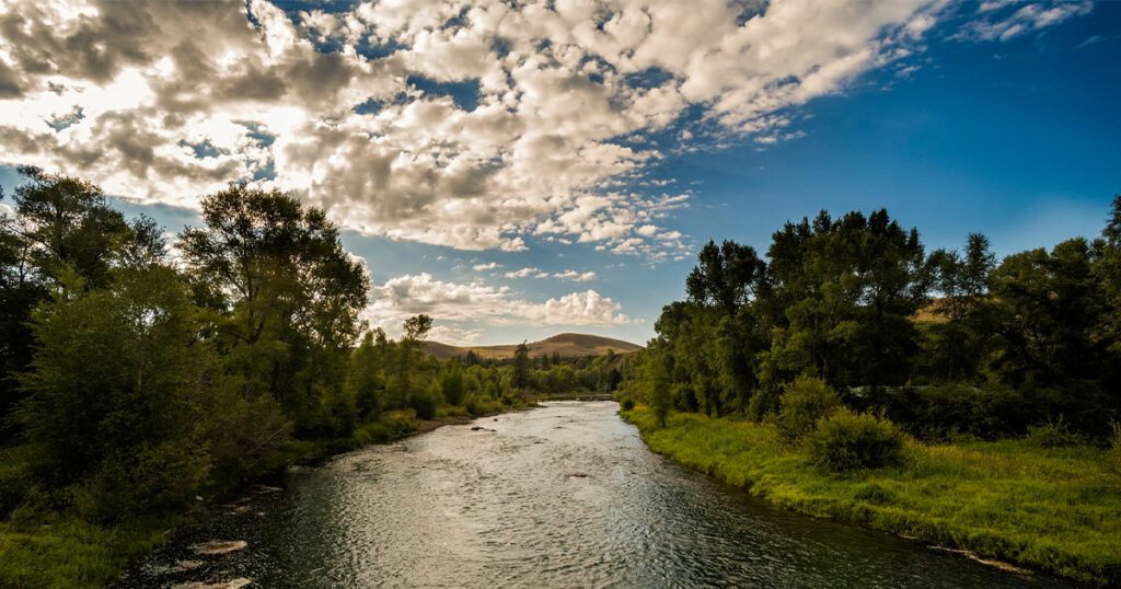 Pre-Applications Now Being Accepted for Land and Water Conservation Grant