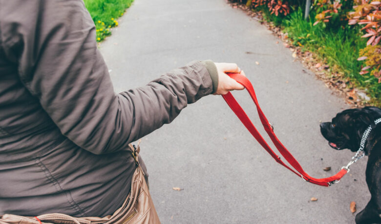 Residents Urge GR Council Against Adopting New Leash Laws