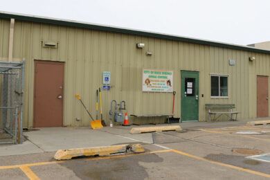 Agreement Would Allow Veterinarian to Provide Services at RS Animal Control